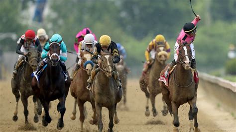 preakness results|2019 preakness results.